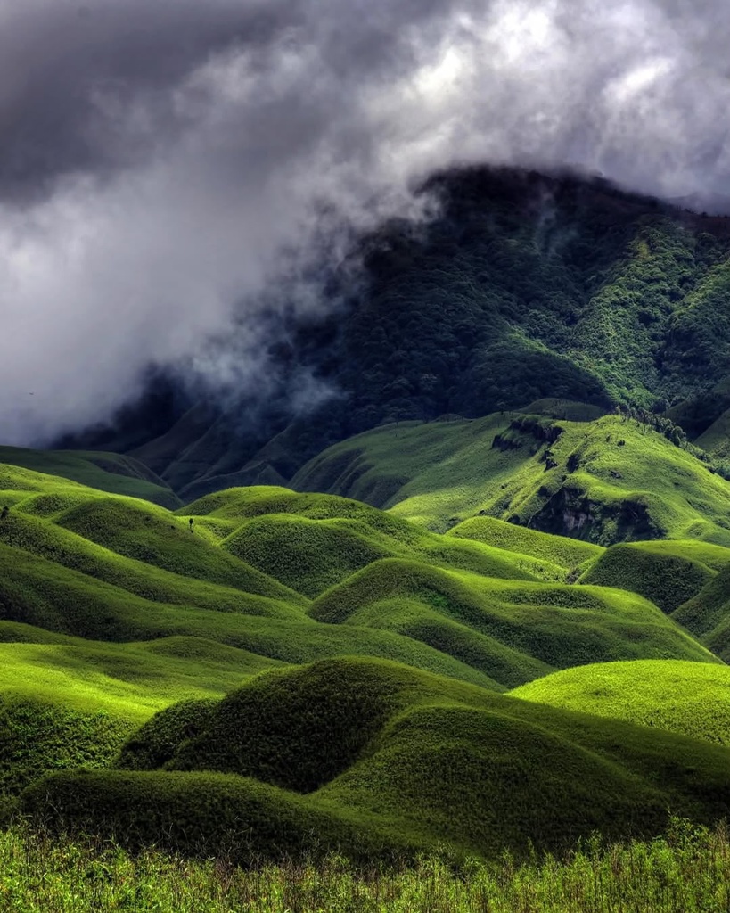 Dzukou Valley Nagaland