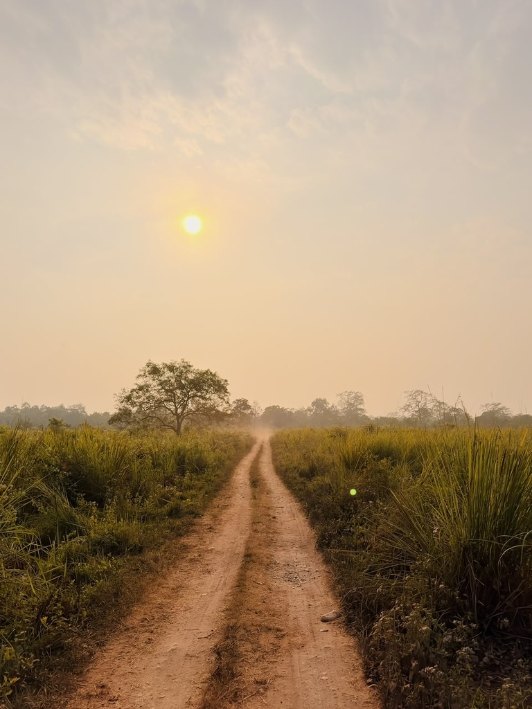Manas National Park
